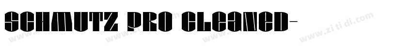 Schmutz Pro Cleaned字体转换